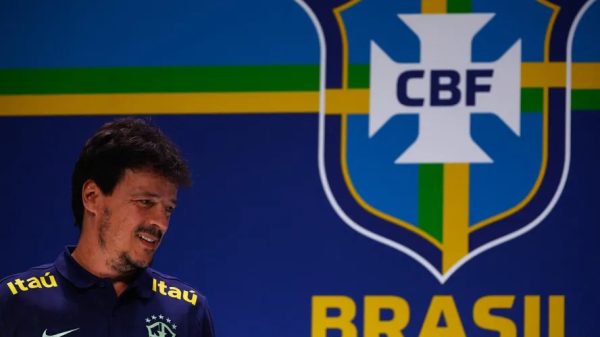 Fernando Diniz seleção brasileira